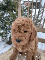 processed/44c6159e-7938-44d5-849c-9e62874f24d0/listing/a08fdb8e-aafa-4e33-b906-569788964d45/491a11b5-3a4e-48c7-a82f-6a367aba22c6