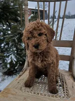 processed/44c6159e-7938-44d5-849c-9e62874f24d0/listing/a08fdb8e-aafa-4e33-b906-569788964d45/66ace6e6-f241-49af-b76c-6e00d0805670