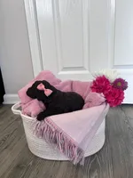 N/A, a female Poodle - Miniature  and Miniature Goldendoodle for sale in Charlotte, NC – Photo 4 of 8