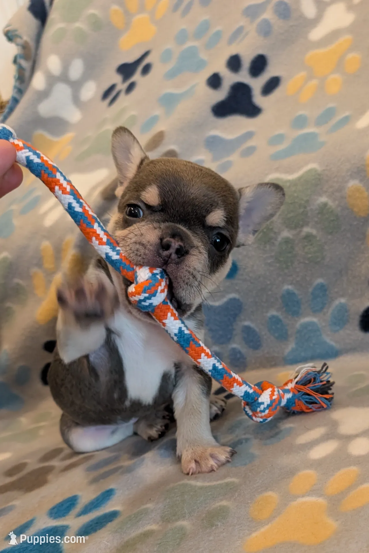 processed/44caffb2-b4c6-42ea-a2b1-ea9f932a13d3/listing/e03ec74e-dd46-44a8-b277-9ae366fb5c17/68052b73-33b5-4eb8-b78f-8ecd881b1428