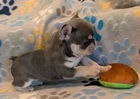 processed/44caffb2-b4c6-42ea-a2b1-ea9f932a13d3/listing/e03ec74e-dd46-44a8-b277-9ae366fb5c17/92f30e19-ada7-4318-8c1c-cc79d27a8574