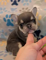 processed/44caffb2-b4c6-42ea-a2b1-ea9f932a13d3/listing/e03ec74e-dd46-44a8-b277-9ae366fb5c17/f0212686-40e2-4044-92be-a3fd35beb9b0