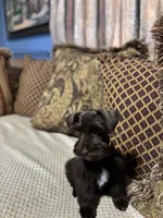 processed/44d17517-d3ea-44ca-a875-8af85bdf4bc1/listing/c3e0b5da-cad3-4030-b910-ec9dce8a6bbc/372507cb-82cf-4a91-b32a-cecb933a1227