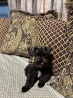 processed/44d17517-d3ea-44ca-a875-8af85bdf4bc1/listing/c3e0b5da-cad3-4030-b910-ec9dce8a6bbc/6bdce4ad-b6a3-44fd-b7b4-27b0a74f3597