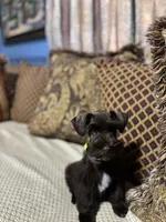 processed/44d17517-d3ea-44ca-a875-8af85bdf4bc1/listing/c3e0b5da-cad3-4030-b910-ec9dce8a6bbc/82a20fa6-68c1-41d0-9ff4-87cf7313f1da