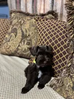 processed/44d17517-d3ea-44ca-a875-8af85bdf4bc1/listing/c3e0b5da-cad3-4030-b910-ec9dce8a6bbc/9af8f2ff-cbe0-44a6-a088-df5420d9e5a6