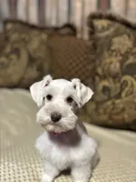 processed/44d17517-d3ea-44ca-a875-8af85bdf4bc1/listing/cc655394-8000-4c61-97a1-e982ad9f44bb/1bd3e4de-023e-4777-a3aa-c200a3978936