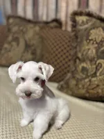 processed/44d17517-d3ea-44ca-a875-8af85bdf4bc1/listing/cc655394-8000-4c61-97a1-e982ad9f44bb/35b9dc03-c8fc-469b-8778-ef18f491ee8c