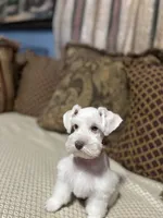 processed/44d17517-d3ea-44ca-a875-8af85bdf4bc1/listing/cc655394-8000-4c61-97a1-e982ad9f44bb/423a0702-a90d-44e6-8eab-28691c811392