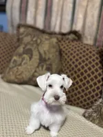 processed/44d17517-d3ea-44ca-a875-8af85bdf4bc1/listing/cc655394-8000-4c61-97a1-e982ad9f44bb/9bb98981-d384-4d56-b0dc-2c9d1e281f75