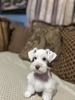 processed/44d17517-d3ea-44ca-a875-8af85bdf4bc1/listing/cc655394-8000-4c61-97a1-e982ad9f44bb/ec598b81-5d0d-4127-ad6a-8969d84a08da