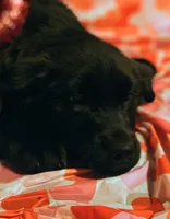 processed/44e60ed0-fc45-47ad-b812-987917a80e3f/listing/c070d85e-b403-4591-867d-75e3245bd258/86fa712b-fffa-4309-bd11-aeca77bfef00