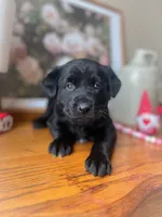 processed/44f03d0b-3384-44ba-87c2-f6949cc82981/listing/a0f1e340-01e1-4c7e-a934-94958d92948c/21bf2654-27a9-4a2c-b487-3cdd011cc022