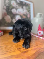 processed/44f03d0b-3384-44ba-87c2-f6949cc82981/listing/a0f1e340-01e1-4c7e-a934-94958d92948c/e253dd7f-277f-42f0-b0ae-0964f52198ce