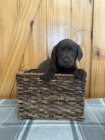 processed/44f10bc4-c744-470b-a846-902b11e6e091/facility/38d57847-c9c9-4568-9ce4-68d7b18e4bcf