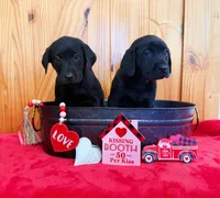 processed/44f10bc4-c744-470b-a846-902b11e6e091/facility/48e1067f-78d9-4827-a7bf-b77f602d64a5