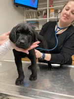 processed/44f10bc4-c744-470b-a846-902b11e6e091/facility/6d99567a-526b-432c-bc72-cff2ef52d51e