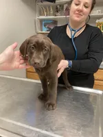 processed/44f10bc4-c744-470b-a846-902b11e6e091/facility/a4231793-b344-48b6-bbb7-10e7b3d805f3