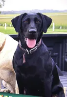 processed/44f10bc4-c744-470b-a846-902b11e6e091/facility/ce1bc71b-eb5f-4518-905d-d5828bd0bcfb