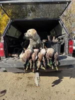 processed/44f10bc4-c744-470b-a846-902b11e6e091/facility/f4fd9aec-a6d0-431c-bd86-a8f946c72e51