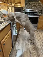 processed/44f5ffc6-204b-47b5-9fd0-f38d0cdc903c/listing/747df82e-fa87-4a1e-95a7-8119adadeaae/02ff9949-4de4-4fb9-b5bb-d5944e0d0122