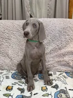 processed/44f5ffc6-204b-47b5-9fd0-f38d0cdc903c/listing/747df82e-fa87-4a1e-95a7-8119adadeaae/5de2a128-cbf1-45f4-9c58-17c8814195ce