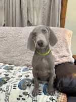 processed/44f5ffc6-204b-47b5-9fd0-f38d0cdc903c/listing/94cecc08-b0c7-4137-9e0d-aec7caa7e4af/7ddb1806-9a72-4e43-95b8-0379328052bf