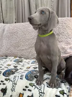 processed/44f5ffc6-204b-47b5-9fd0-f38d0cdc903c/listing/94cecc08-b0c7-4137-9e0d-aec7caa7e4af/c9c9152b-1a7e-46ef-98e1-871191446808