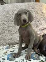 processed/44f5ffc6-204b-47b5-9fd0-f38d0cdc903c/listing/94cecc08-b0c7-4137-9e0d-aec7caa7e4af/de923e17-3249-4ebd-96a7-a5c526dee1fd