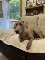 processed/44f5ffc6-204b-47b5-9fd0-f38d0cdc903c/listing/9521a399-1dda-495b-9165-fd98e841f444/98b8c850-361a-4ed0-8766-96be20669bd5