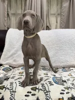 processed/44f5ffc6-204b-47b5-9fd0-f38d0cdc903c/listing/9521a399-1dda-495b-9165-fd98e841f444/fe0b237e-27f0-47de-b1a2-cfb97b2b3170