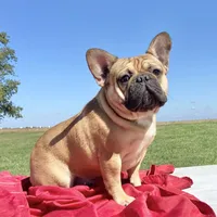 processed/451ddc23-baae-43b5-ba6f-df91ff9dab88/facility/37c30b79-6ef9-435b-8b18-cf52c45deec0