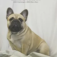 processed/451ddc23-baae-43b5-ba6f-df91ff9dab88/facility/a205727d-fda1-4525-82b9-9e1f2901e2a2