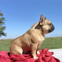 processed/451ddc23-baae-43b5-ba6f-df91ff9dab88/facility/a6902533-f27c-4a54-8e2d-520ded663227