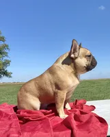 processed/451ddc23-baae-43b5-ba6f-df91ff9dab88/facility/a6902533-f27c-4a54-8e2d-520ded663227