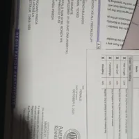 FrecklesSPAYED, a female French Bulldog for sale in Marietta, OK – Photo 4 of 9