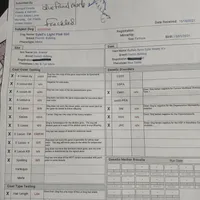 FrecklesSPAYED, a female French Bulldog for sale in Marietta, OK – Photo 6 of 9