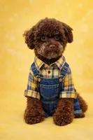 processed/4523b44c-cc40-4fc6-bd19-a8b1064c28bf/facility/4476a7e3-b179-4d8e-b4eb-ab3b2aa1b05c