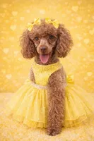 processed/4523b44c-cc40-4fc6-bd19-a8b1064c28bf/facility/4fb171db-dcca-4095-bda5-d439d17b072a