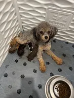 processed/4523b44c-cc40-4fc6-bd19-a8b1064c28bf/facility/87a1337e-7f01-49a6-bed6-76130fdbb32d