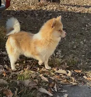 processed/4527a1dc-0f57-4f4b-9cc5-3750e214ed02/listing/20c7b88d-fa06-4d4b-9b74-a1d1591a0893/034f453f-191b-434e-9ac5-335bb90e3e57