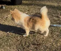 processed/4527a1dc-0f57-4f4b-9cc5-3750e214ed02/listing/20c7b88d-fa06-4d4b-9b74-a1d1591a0893/6596e96e-5b56-4aa9-a17d-46d592bd1c40