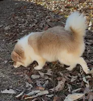 processed/4527a1dc-0f57-4f4b-9cc5-3750e214ed02/listing/20c7b88d-fa06-4d4b-9b74-a1d1591a0893/6a527235-664f-4147-a79f-0961a3736ed3