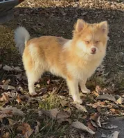 processed/4527a1dc-0f57-4f4b-9cc5-3750e214ed02/listing/20c7b88d-fa06-4d4b-9b74-a1d1591a0893/caef9a26-17d2-447c-978a-37e526e88ece