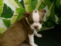 processed/452b15a0-12b7-4d9d-be3e-71be1f7c0d1f/listing/870b91e4-9d1e-4667-9031-199390f5a0de/39902062-a0ef-4165-8a6e-845585527b8f