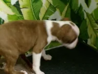 processed/452b15a0-12b7-4d9d-be3e-71be1f7c0d1f/listing/870b91e4-9d1e-4667-9031-199390f5a0de/8c446e66-05e3-4032-ae5b-faff0f267f67