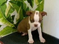 processed/452b15a0-12b7-4d9d-be3e-71be1f7c0d1f/listing/870b91e4-9d1e-4667-9031-199390f5a0de/f8433dc8-a705-4119-8aa9-82de68f0c9b4