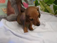 processed/452b15a0-12b7-4d9d-be3e-71be1f7c0d1f/listing/b9addd1f-2c20-4c3e-96cc-76fbae2eef94/39695103-ce2d-44d7-b514-3e3e1e401ec6