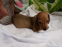 processed/452b15a0-12b7-4d9d-be3e-71be1f7c0d1f/listing/b9addd1f-2c20-4c3e-96cc-76fbae2eef94/3cafac3b-9b5c-4626-8d37-7c6e44984227