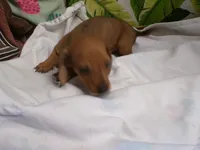 processed/452b15a0-12b7-4d9d-be3e-71be1f7c0d1f/listing/b9addd1f-2c20-4c3e-96cc-76fbae2eef94/73b9e388-b990-465c-aa0c-0e6655a9e244